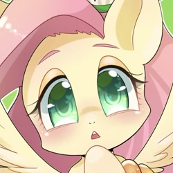 Size: 498x498 | Tagged: safe, artist:bbtasu, fluttershy, pegasus, pony, cute, female, mare, shyabetes