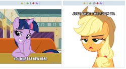 Size: 511x278 | Tagged: safe, derpibooru import, applejack, twilight sparkle, twilight sparkle (alicorn), alicorn, earth pony, pony, the saddle row review, derpibooru, exploitable meme, female, juxtaposition, juxtaposition win, mare, meme, meta, screenshots, vulgar