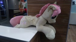 Size: 4160x2340 | Tagged: safe, artist:ponylover88, butterscotch, fluttershy, pegasus, pony, plushie, rule 63