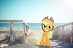 Size: 2048x1365 | Tagged: safe, artist:potato22, applejack, backlighting, beach, irl, photo, ponies in real life, smiling, solo, standing