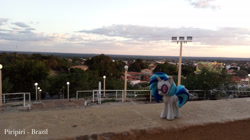 Size: 1920x1078 | Tagged: safe, artist:alfamaster, dj pon-3, vinyl scratch, brazil, irl, photo, piauí, piripiri, ponies around the world, toy