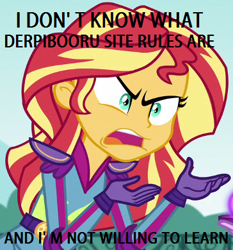 Size: 364x390 | Tagged: safe, edit, edited screencap, screencap, sunset shimmer, equestria girls, friendship games, caption, derpibooru, derpibooru user, exploitable meme, image macro, meme, meta, sunset is not willing to learn