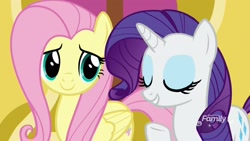 Size: 1920x1080 | Tagged: safe, screencap, fluttershy, rarity, pegasus, pony, unicorn, father knows beast