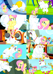 Size: 400x560 | Tagged: safe, screencap, bulk biceps, fluttershy, pegasus, pony, equestria games (episode), rainbow falls, collage, female, flutterbulk, male, shipping, shipping fuel, snow, straight