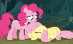 Size: 518x313 | Tagged: safe, screencap, fluttershy, pinkie pie, earth pony, pegasus, pony, the mean 6, animated, animation error, comforting, crying, cute, duo, female, five legs, gif, hug, literal fifth leg, shyabetes, sitting, teary eyes