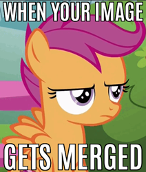 Size: 407x480 | Tagged: safe, edit, edited screencap, screencap, scootaloo, the fault in our cutie marks, caption, image macro, meme, meta, solo, text, unamused