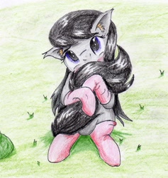 Size: 1906x2013 | Tagged: safe, artist:40kponyguy, derpibooru exclusive, octavia melody, earth pony, pony, blushing, clothes, cute, ear fluff, floppy ears, hug, looking at you, socks, solo, tail hug, tavibetes, traditional art