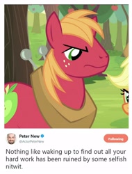 Size: 3106x4096 | Tagged: safe, screencap, applejack, big macintosh, earth pony, pony, angry, female, horse collar, leak, male, mare, meta, peter new, stallion, text, twitter, yoke