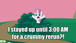 Size: 800x462 | Tagged: safe, edit, edited screencap, screencap, sweetie belle, pony, unicorn, hearts and hooves day (episode), bush, bushicorn, female, filly, hearts and hooves day, image macro, impact font, meme, meta, oh come on, solo
