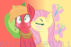 Size: 1024x679 | Tagged: safe, artist:mlplover0711, big macintosh, fluttershy, pegasus, pony, base used, blushing, cutie mark background, eyes closed, female, fluttermac, gradient background, kiss on the cheek, kissing, male, shipping, straight, watermark