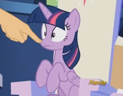 Size: 884x687 | Tagged: safe, derpibooru import, edit, edited screencap, screencap, twilight sparkle, twilight sparkle (alicorn), alicorn, pony, 28 pranks later, boop, boop edit, discovery family logo, finger, hand