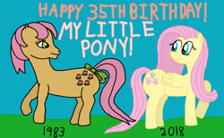Size: 3292x2023 | Tagged: safe, artist:sb1991, derpibooru exclusive, fluttershy, posey, earth pony, pegasus, pony, 35th anniversary, generation leap, happy birthday, happy birthday mlp:fim, my little pony, text