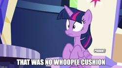 Size: 888x499 | Tagged: safe, derpibooru import, edit, edited screencap, screencap, twilight sparkle, twilight sparkle (alicorn), alicorn, pony, 28 pranks later, fart, fart noise, image macro, meme, solo