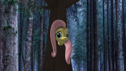 Size: 1920x1080 | Tagged: safe, fluttershy, pegasus, pony, 3d, fluttertree, forest, funny, grin, joke, looking at you, meme, smiling, solo, source filmmaker