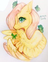 Size: 1602x2064 | Tagged: safe, artist:ectopi, fluttershy, butterfly, pegasus, pony, bust, colored pencil drawing, covering, female, hiding behind wing, mare, portrait, profile, simple background, solo, stray strand, traditional art, white background, wing covering, wings