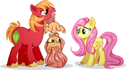 Size: 1024x572 | Tagged: safe, artist:ohflaming-rainbow, big macintosh, fluttershy, oc, oc:sunshine apple shy, earth pony, pegasus, pony, base used, female, filly, fluttermac, male, mouth hold, offspring, parent:big macintosh, parent:fluttershy, parents:fluttermac, shipping, simple background, straight, tail, tail pull, transparent background