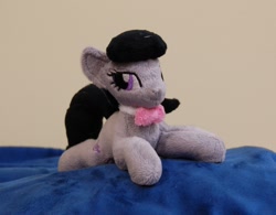 Size: 1360x1060 | Tagged: safe, artist:lanacraft, octavia melody, earth pony, pony, irl, kitten sized, photo, plushie