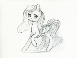 Size: 1100x836 | Tagged: safe, artist:maytee, fluttershy, pegasus, pony, female, grayscale, mare, monochrome, pencil drawing, raised hoof, simple background, sketch, solo, traditional art, white background