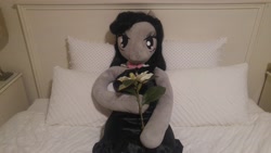 Size: 5312x2988 | Tagged: safe, artist:bigsexyplush, artist:somethingaboutoctavia, octavia melody, anthro, anniversary, anthro plushie, bed, celebration, clothes, cute, doll, dress, flower, irl, jewelry, necklace, photo, plushie, toy