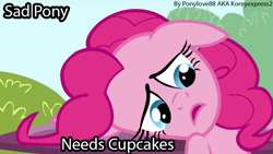 Size: 825x464 | Tagged: safe, artist:koreyexpress2, edit, edited screencap, screencap, pinkie pie, earth pony, pony, too many pinkie pies, female, image macro, mare, meme, sad pony, solo