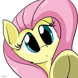 Size: 2362x2362 | Tagged: safe, artist:taurson, fluttershy, pegasus, pony, breaking the fourth wall, bust, curious, cute, female, fourth wall, frog (hoof), looking at you, poking, portrait, shyabetes, simple background, solo, underhoof, white background