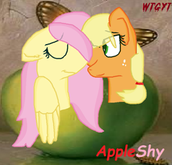 Size: 679x651 | Tagged: safe, artist:minehyljedeviantart, applejack, fluttershy, earth pony, pegasus, pony, appleshy, female, lesbian, shipping