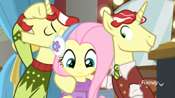 Size: 1920x1080 | Tagged: safe, screencap, flam, flim, fluttershy, pegasus, pony, unicorn, best gift ever, clothes, earmuffs, female, male, mare, stallion, sweater, trio