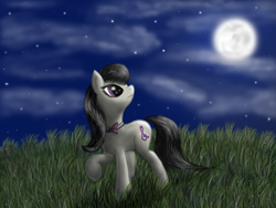 Size: 1600x1200 | Tagged: safe, artist:pony-stark, octavia melody, earth pony, pony, cloud, female, field, grass, looking up, mare, moon, night, outdoors, sky, solo, standing, stars, walking