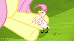 Size: 1280x720 | Tagged: safe, screencap, fluttershy, bird, pegasus, pony, yakity-sax, feather, featherless, female, mare, plucked wings