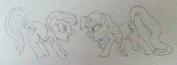 Size: 600x220 | Tagged: artist needed, safe, oc, oc only, oc:taralicious, pony, behaving like a cat, catfight, meghan mccarthy, meta, ponified, tara strong, traditional art, twitter