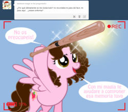 Size: 1236x1090 | Tagged: safe, artist:shinta-girl, oc, oc only, oc:shinta pony, ask, baseball bat, solo, spanish, this will end in tears and/or death, translated in the description, tumblr