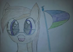 Size: 800x577 | Tagged: safe, artist:milo(german), oc, oc only, oc:dawnsong, earth pony, pony, colored, derpibooru, female, flag, glasses, looking at you, mare, meta, solo, traditional art