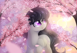 Size: 2000x1400 | Tagged: safe, artist:mitralexa, octavia melody, earth pony, pony, female, flower petals, looking back, looking up, mare, missing accessory, open mouth, outdoors, signature, solo, tree, walking