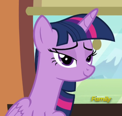 Size: 484x459 | Tagged: safe, derpibooru import, screencap, twilight sparkle, twilight sparkle (alicorn), alicorn, pony, the times they are a changeling, cropped, discovery family logo, lidded eyes, solo