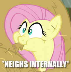 Size: 467x478 | Tagged: safe, edit, edited screencap, screencap, fluttershy, pegasus, pony, the hooffields and mccolts, cropped, hay, horses doing horse things, image macro, meme, neigh, silly, silly pony, solo, text, x internally