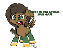 Size: 2356x1842 | Tagged: safe, artist:binkyt11, derpibooru exclusive, oc, oc only, oc:duck badge, pegasus, pony, cheek fluff, chest fluff, clothes, derpibooru, derpibooru ponified, female, fluffy, mare, medibang paint, meta, ponified, shrunken pupils, small, socks, solo, spread wings, vulgar, wings