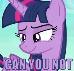 Size: 498x478 | Tagged: safe, derpibooru import, screencap, twilight sparkle, twilight sparkle (alicorn), alicorn, pony, the times they are a changeling, cropped, lidded eyes, meme, reaction image, smirk, smug