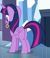 Size: 508x590 | Tagged: safe, derpibooru import, screencap, twilight sparkle, twilight sparkle (alicorn), alicorn, pony, the times they are a changeling, cropped, female, mare, plot