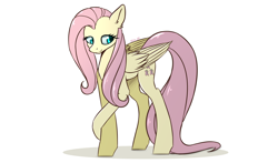 Size: 2500x1468 | Tagged: safe, artist:kirasunnight, fluttershy, pegasus, pony, female, mare, simple background, solo, white background
