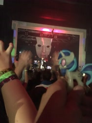 Size: 3024x4032 | Tagged: safe, dj pon-3, vinyl scratch, human, angerfist, concert, figure, irl, irl human, mask, merchandise, photo