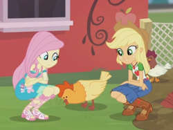 Size: 2048x1536 | Tagged: safe, screencap, applejack, fluttershy, butterfly, chicken, better together, equestria girls, fluttershy's butterflies, fluttershy's butterflies: applejack, boots, cowboy boots, geode of super strength, sandals, shoes, squatting