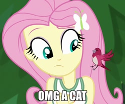 Size: 870x720 | Tagged: safe, edit, edited screencap, screencap, fluttershy, bird, equestria girls, legend of everfree, clothes, cropped, cute, embrace the magic, meme, solo, tanktop