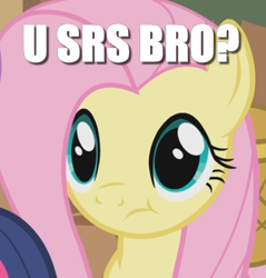 Size: 455x475 | Tagged: safe, edit, edited screencap, screencap, fluttershy, pegasus, pony, a bird in the hoof, :t, cropped, image macro, meme, question, reaction image, solo focus, srsly, text