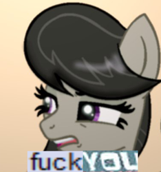 Size: 600x640 | Tagged: safe, octavia melody, earth pony, pony, caption, cropped, disgusted, expand dong, exploitable meme, female, fuck you, image macro, meme, solo, vulgar
