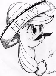 Size: 1704x2286 | Tagged: safe, artist:chicofondo, applejack, earth pony, pony, hat, mariachi, mariachi hat, mexico