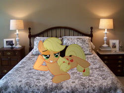 Size: 2576x1932 | Tagged: safe, artist:hachaosagent, artist:iamthegreatlyra, applejack, earth pony, pony, bed, bedroom eyes, female, irl, mare, photo, ponies in real life, solo, vector