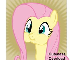 Size: 621x515 | Tagged: safe, derpibooru import, fluttershy, pegasus, pony, cute, derpibooru, meta, puffy cheeks, shyabetes, spoilered image joke