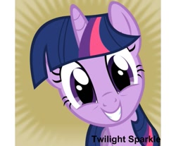 Size: 621x515 | Tagged: safe, twilight sparkle, derpibooru, happy, meta, smiling, spoilered image joke