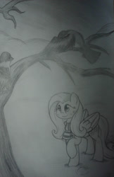 Size: 1024x1578 | Tagged: safe, artist:envygirl95, fluttershy, pegasus, pony, clothes, monochrome, scarf, solo, traditional art, tree, tree branch, winter