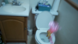 Size: 1334x750 | Tagged: safe, fluttershy, pony, abuse, bait, blurry, but why, context is for the weak, cursed image, flutterbuse, irl, littleshyfim, photo, toilet, toy, toy abuse, yeet